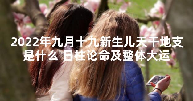 2022年九月十九新生儿天干地支是什么 日柱论命及整体